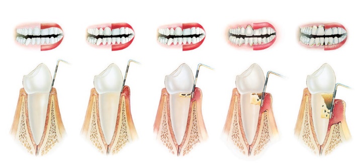 section-9-image