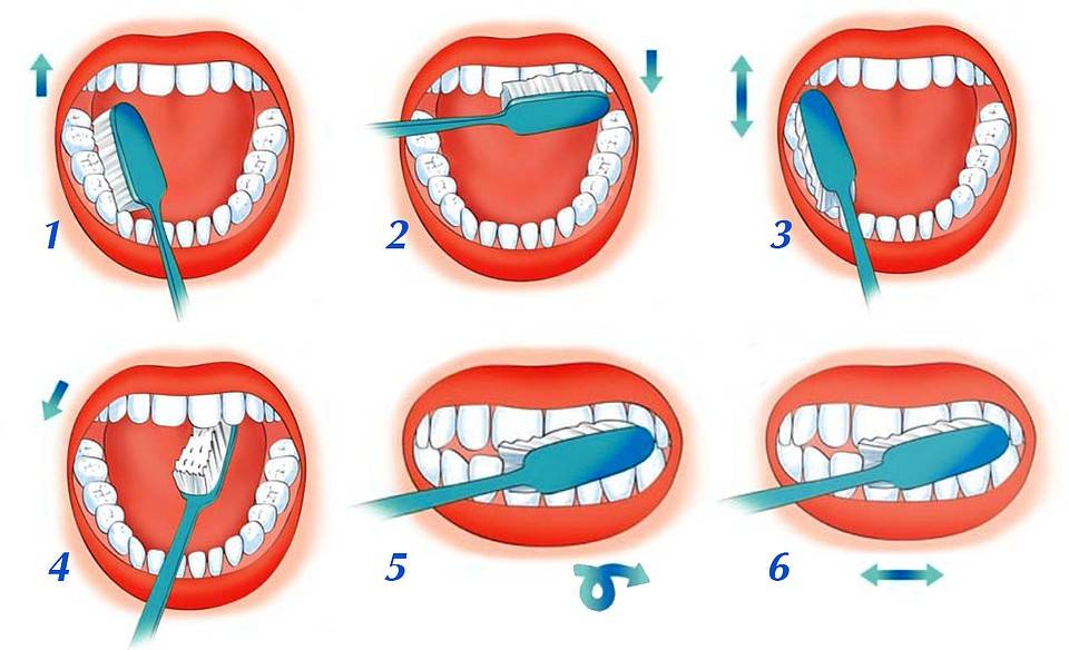 section-9-image